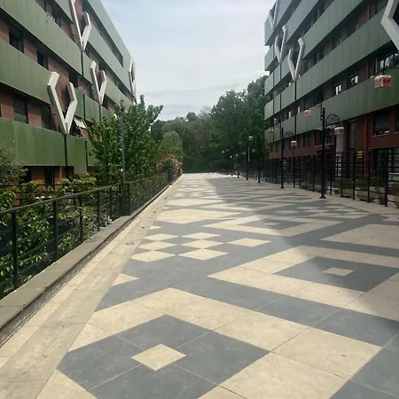Kodra E Diellit 2 * Selita e Vogel